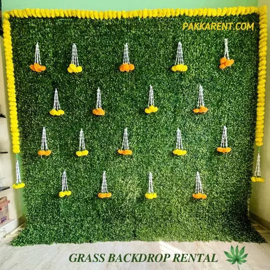Tulip Grass Backdrop on rent in Chennai